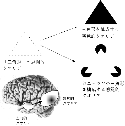 クオリア